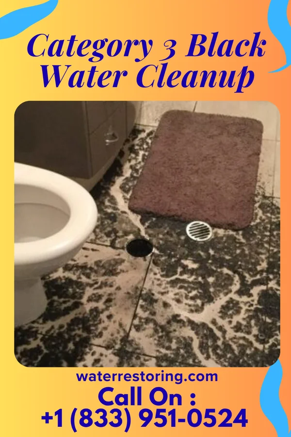 Category 3 Black Water Cleanup in Selah, WA