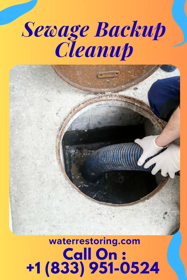 Sewage Backup Cleanup in Selah, WA