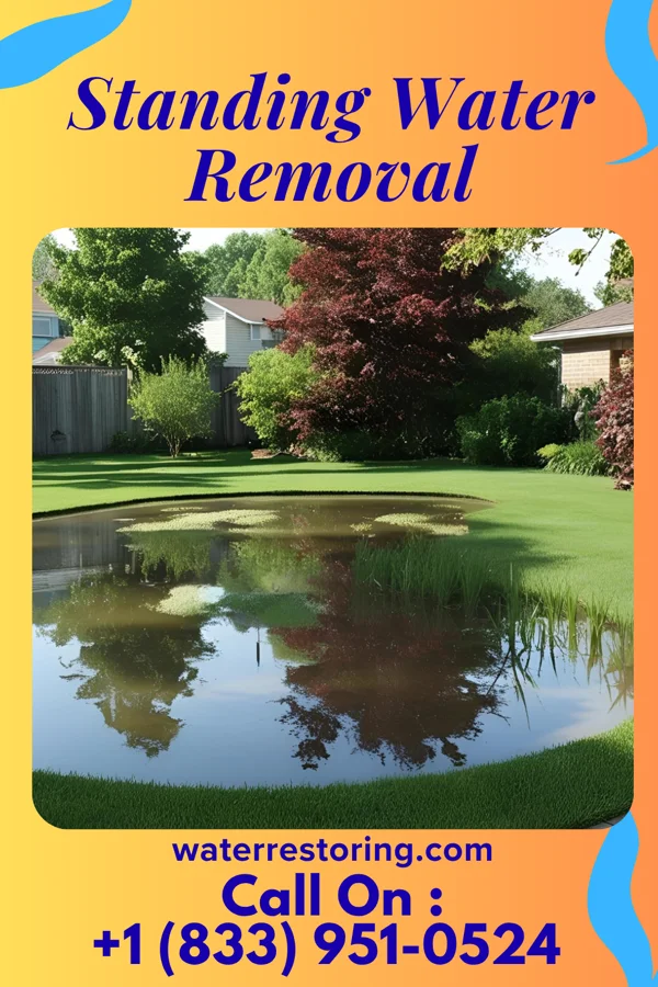 Standing Water Removal in Selah, WA